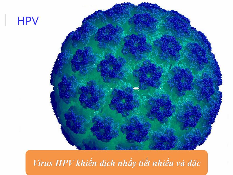 virus HPV khiến âm đạo tiết chất dịch màu trắng đặc